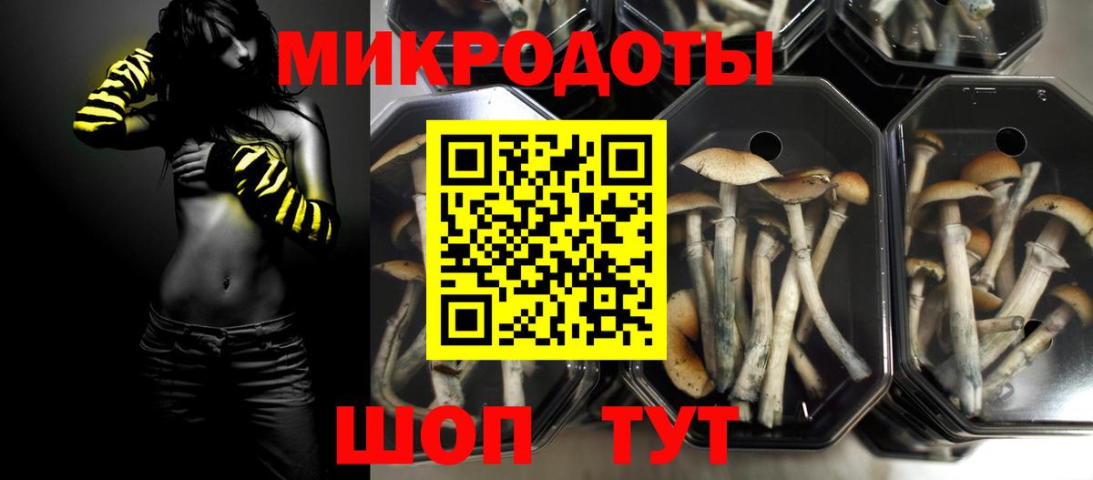 Татарск  Галлюциногенные грибы MAGIC MUSHROOMS  Галлюциногенные грибы мицелий  Вход с VPN 